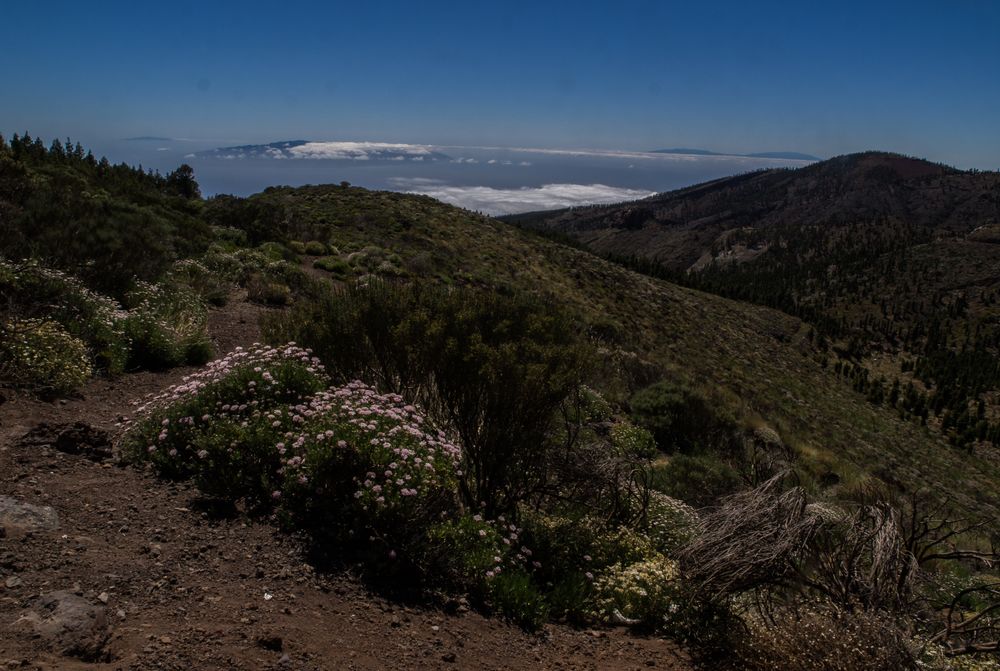 El Hiero, La Gomera & La Palma