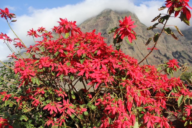 El Hierro