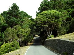 El Hierro - Camino hacia Mal Paso