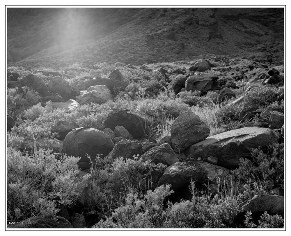 El Hierro-Fotoscan-025