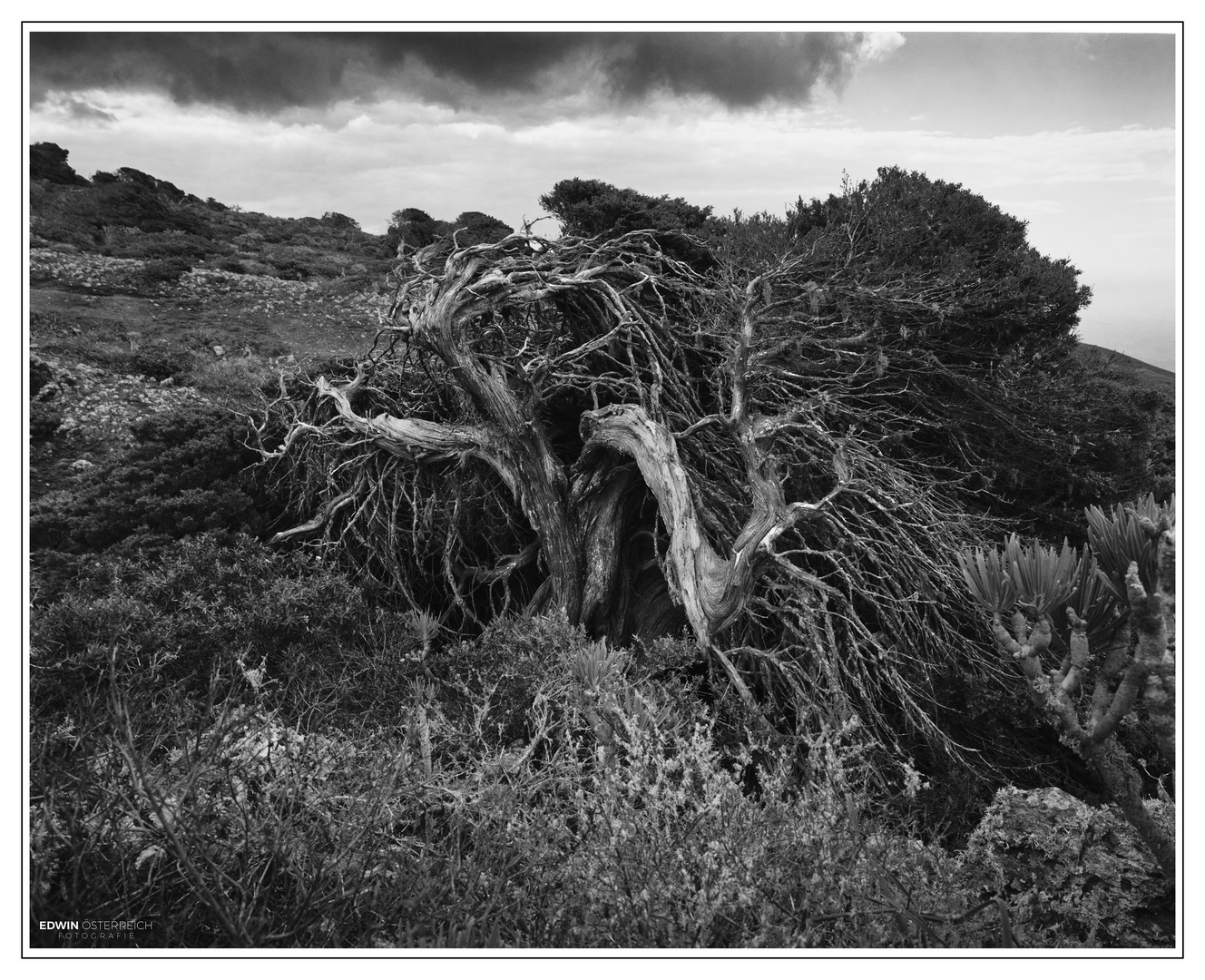 El Hierro-Fotoscan-027