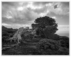 El Hierro-Fotoscan-030