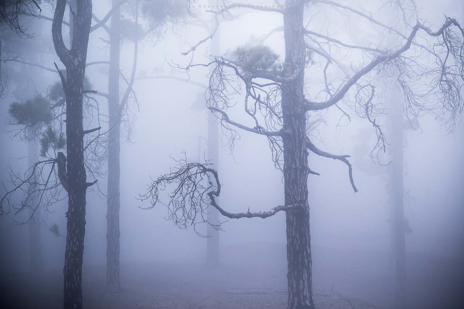 El Hierro NEBEL