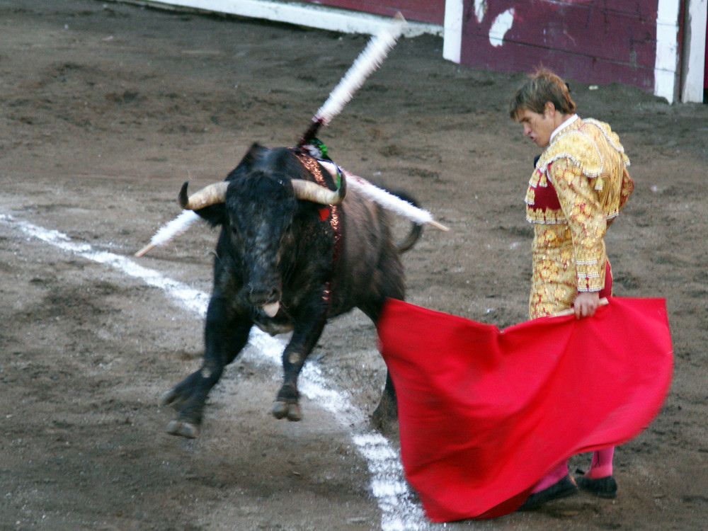 El hijo del Cordovez