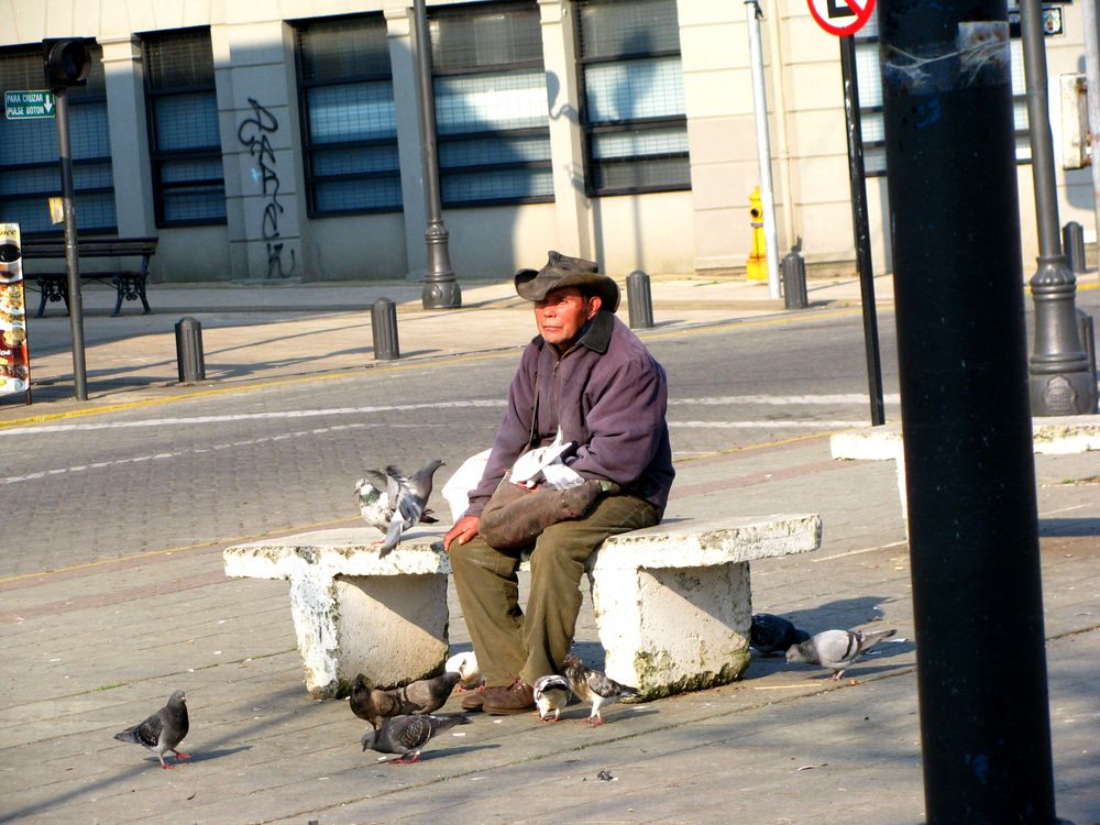 El hombre de las palomas