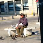 El hombre de las palomas