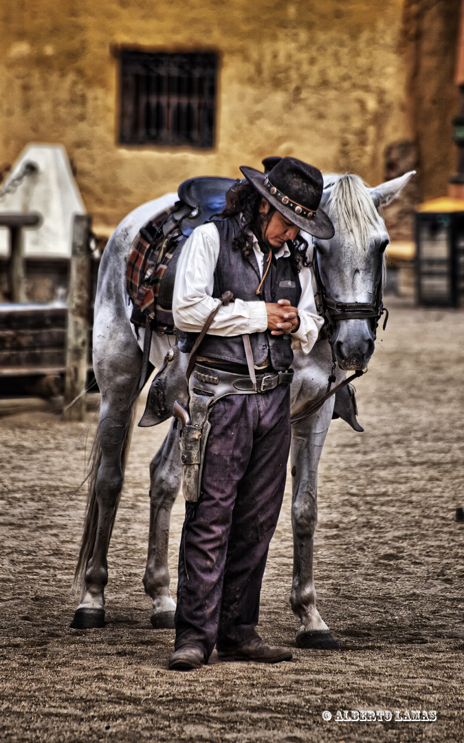 El hombre que susurraba a los caballos