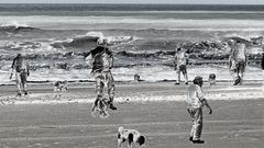 El hombre... su perro... la playa