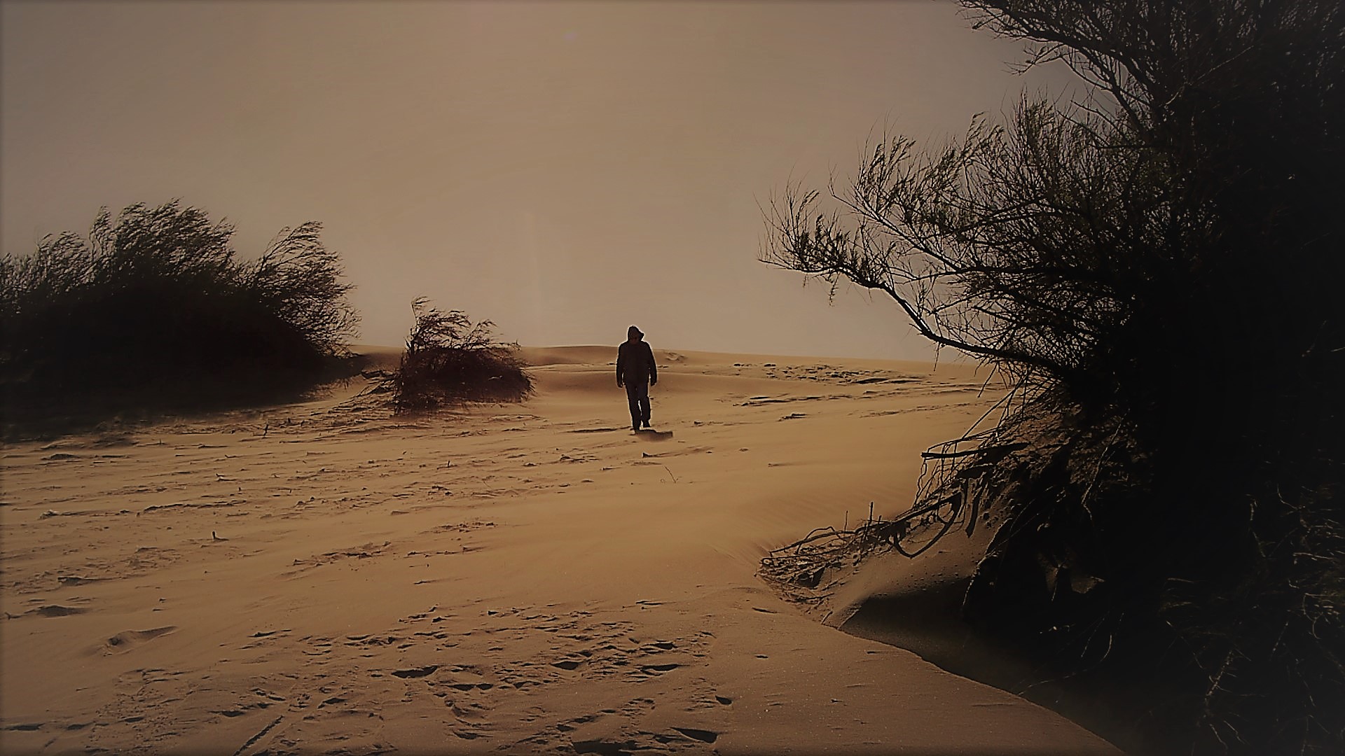 EL HOMBRE Y EL VIENTO