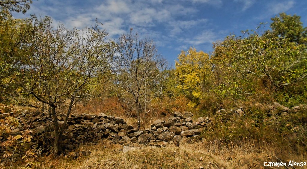 El hueco