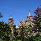 El Huerto de Calixto y Melibea de Salamanca