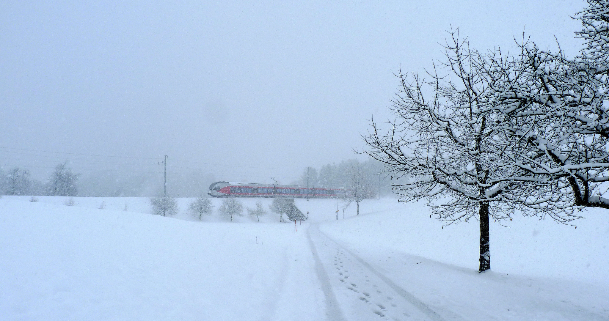 El invierno / L'hiver / Winter...03