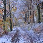 el invierno ya ha empezado (der Winter hat begonnen)