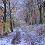 el invierno ya ha empezado (der Winter hat begonnen)