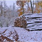 el invierno ya ha llegado (der Winter hat begonnen)