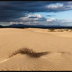 El Jable - Parque Natural de Corralejo - Fuerteventura