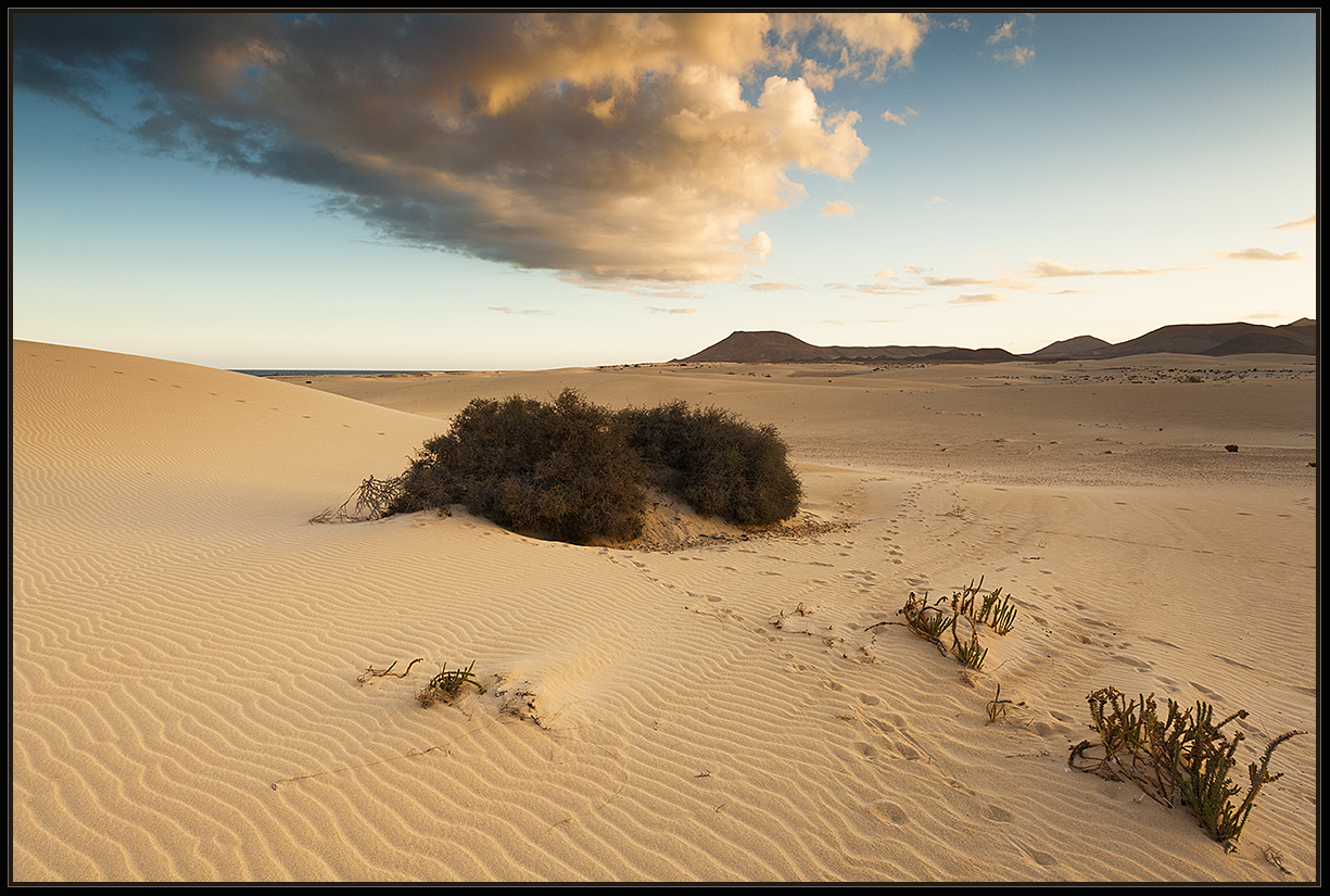 El Jable - Parque Natural de Corralejo - Fuerteventura III