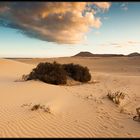 El Jable - Parque Natural de Corralejo - Fuerteventura III