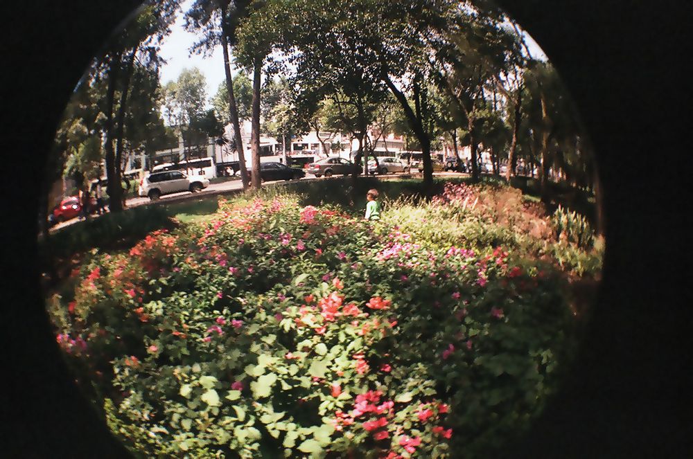 El jardín de las bugambilias