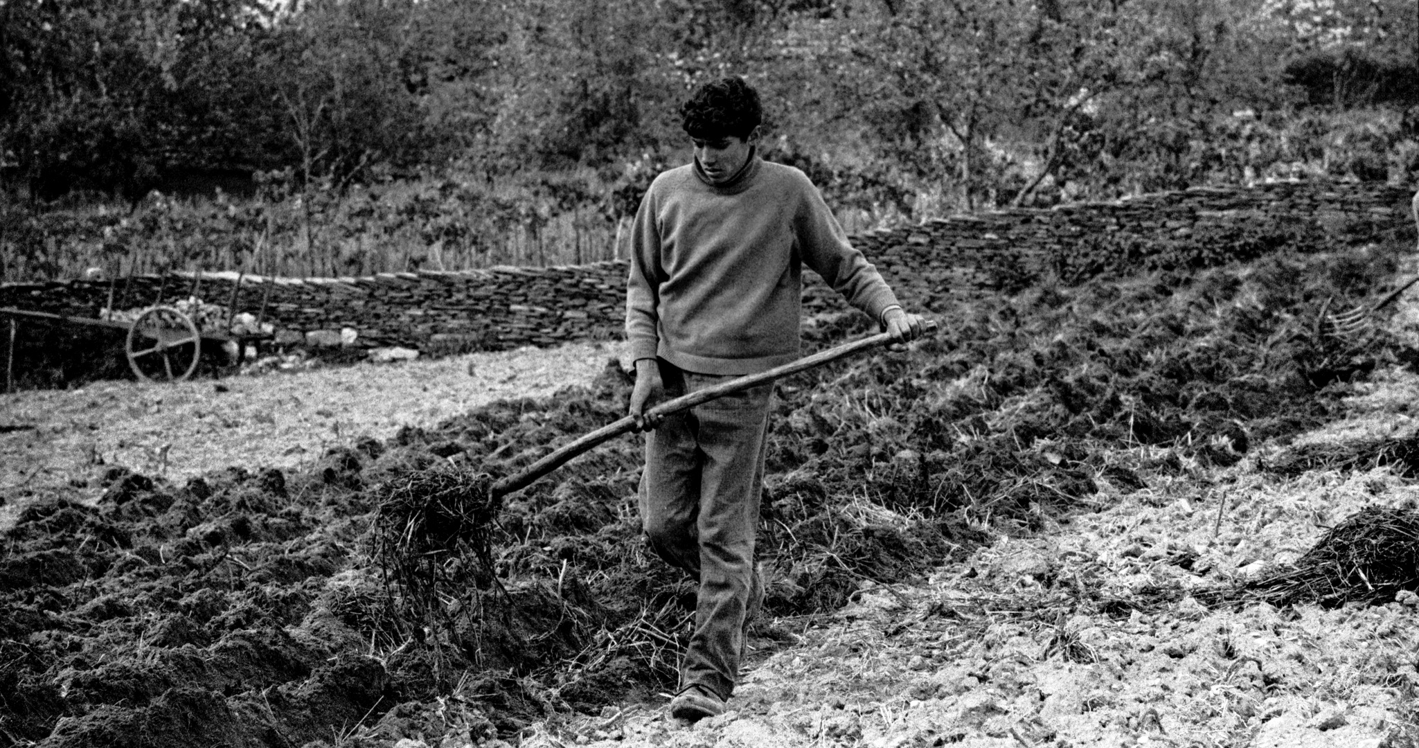 EL LABRADOR. Abonando a Terra.