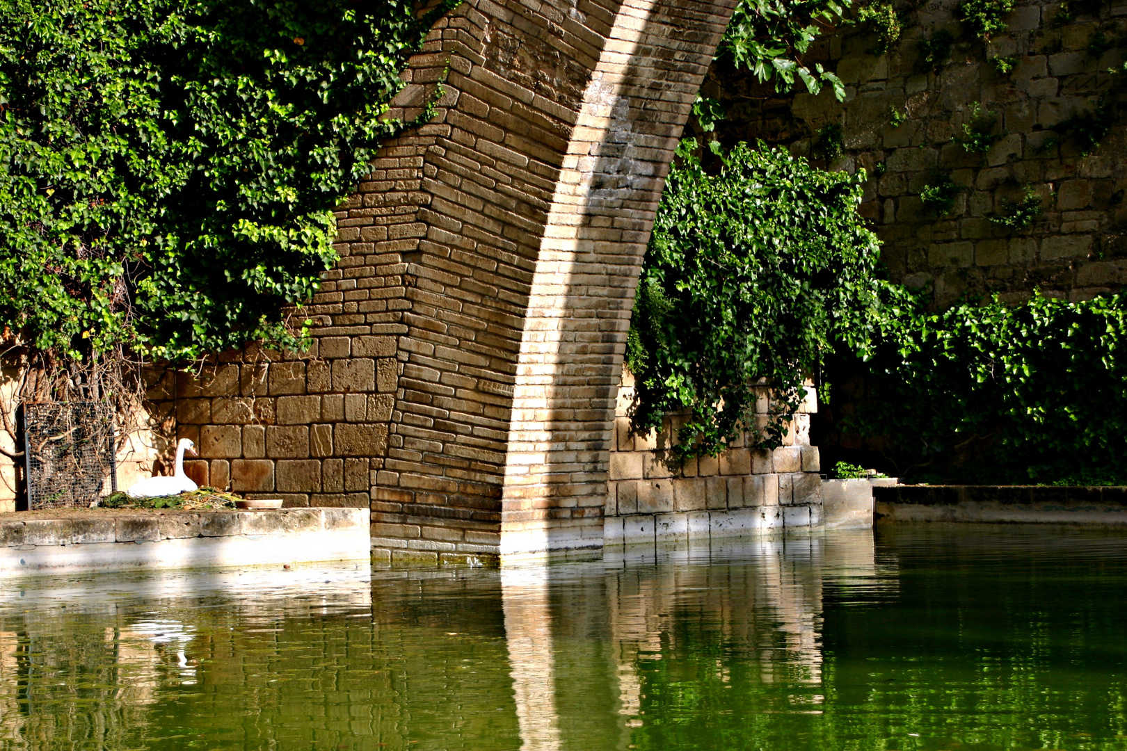 el lago de los cisnes(palma de mallorca)