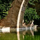 el lago de los cisnes(palma de mallorca)