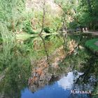 el lago de los espejos