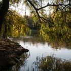 El lago del parque al atardecer