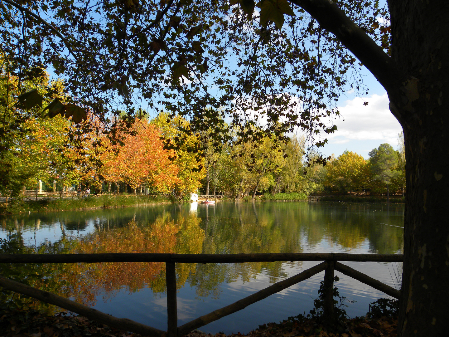 El lago en otoño.