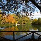 El lago en otoño.