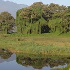 El lago...es un espejo