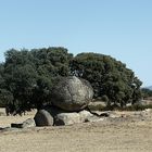 El Leon de Extremadura