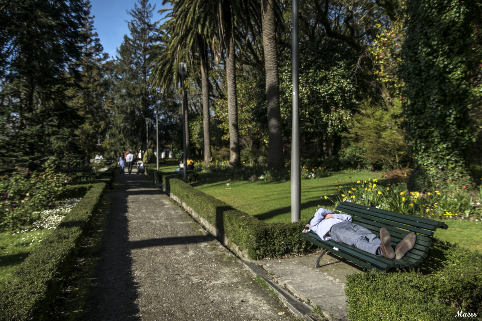 El lugar perfecto para una buena siesta.