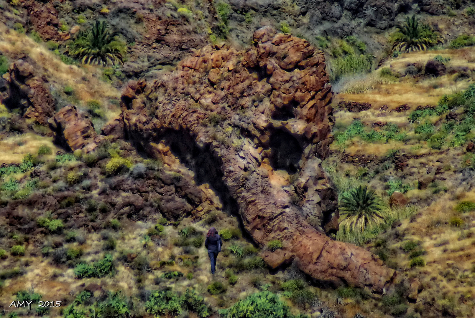 EL MAMUT DE VENEGUERA (GRAN CANARIA). Dedicada a MIGUEL ZABALLA.