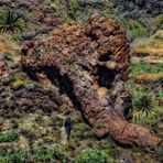 EL MAMUT DE VENEGUERA (GRAN CANARIA). Dedicada a MIGUEL ZABALLA.