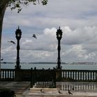 El mar a vista de palomas