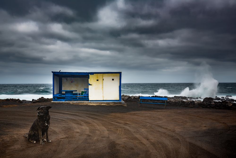 [el mar no cesa...]