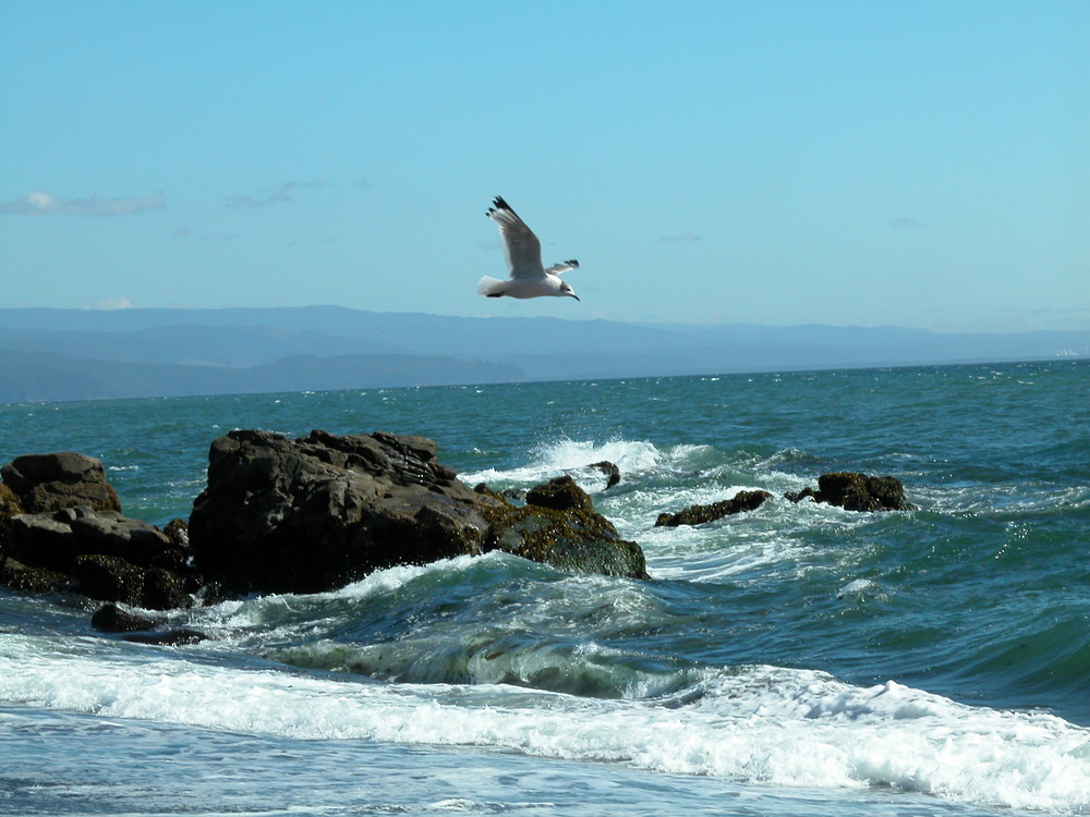 EL MAR VALDIVIANO