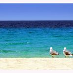 el mar y dos gaviotas