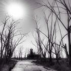 El Matadero, Villa Epecuen