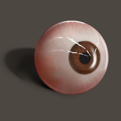 El mejor modelo de cámara