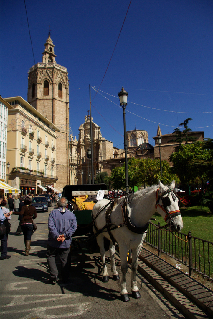 El Micalet (VALENCIA)