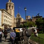 El Micalet (VALENCIA)