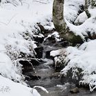 El mismo lugar nevado