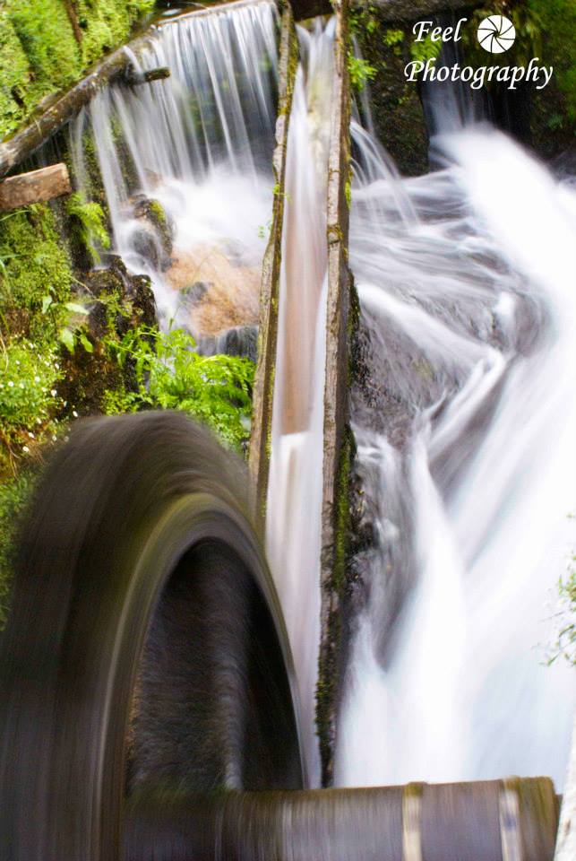 EL MOLINO DE AGUA