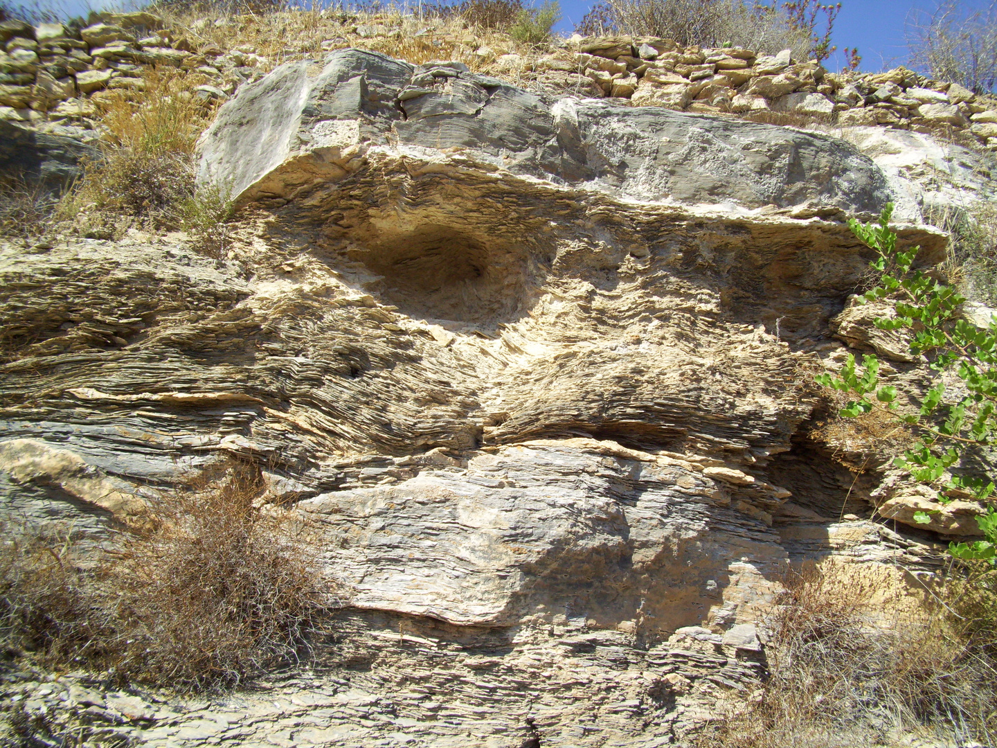 el mono de piedra