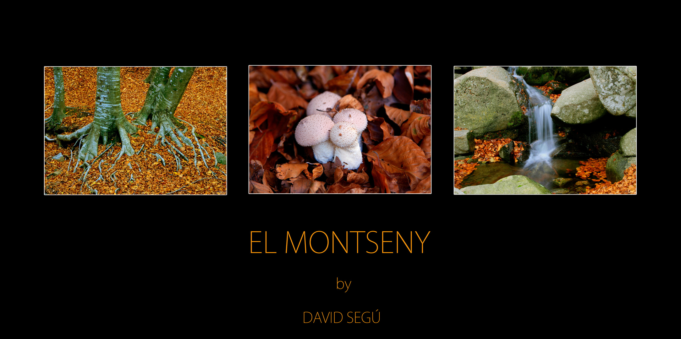 El Montseny