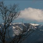 el montseny enfarinat