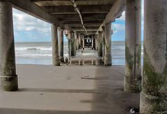 El muelle y la playa