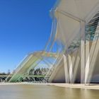 El Museu de les Ciències Príncipe Valencia Spanien